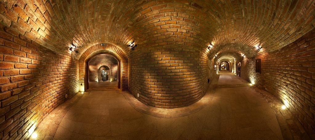 Vinařský pension André Velké Pavlovice Esterno foto