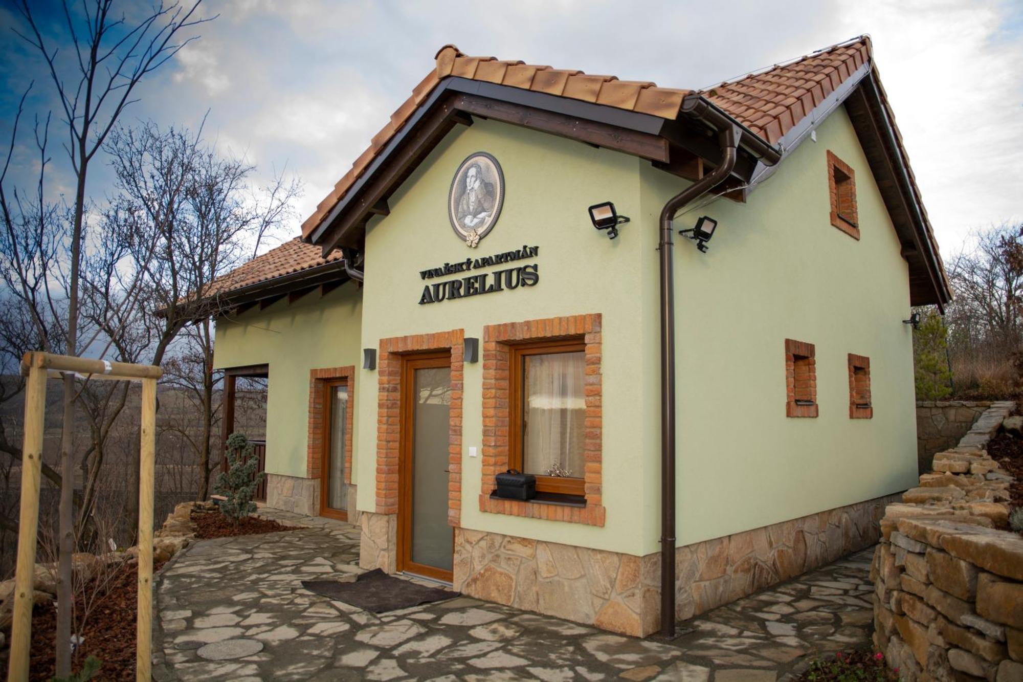 Vinařský pension André Velké Pavlovice Esterno foto