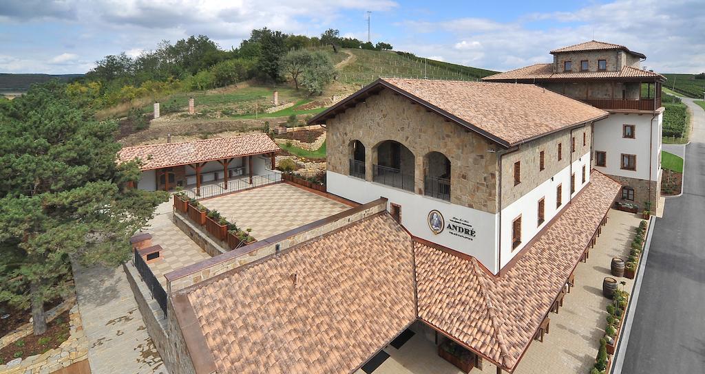 Vinařský pension André Velké Pavlovice Esterno foto