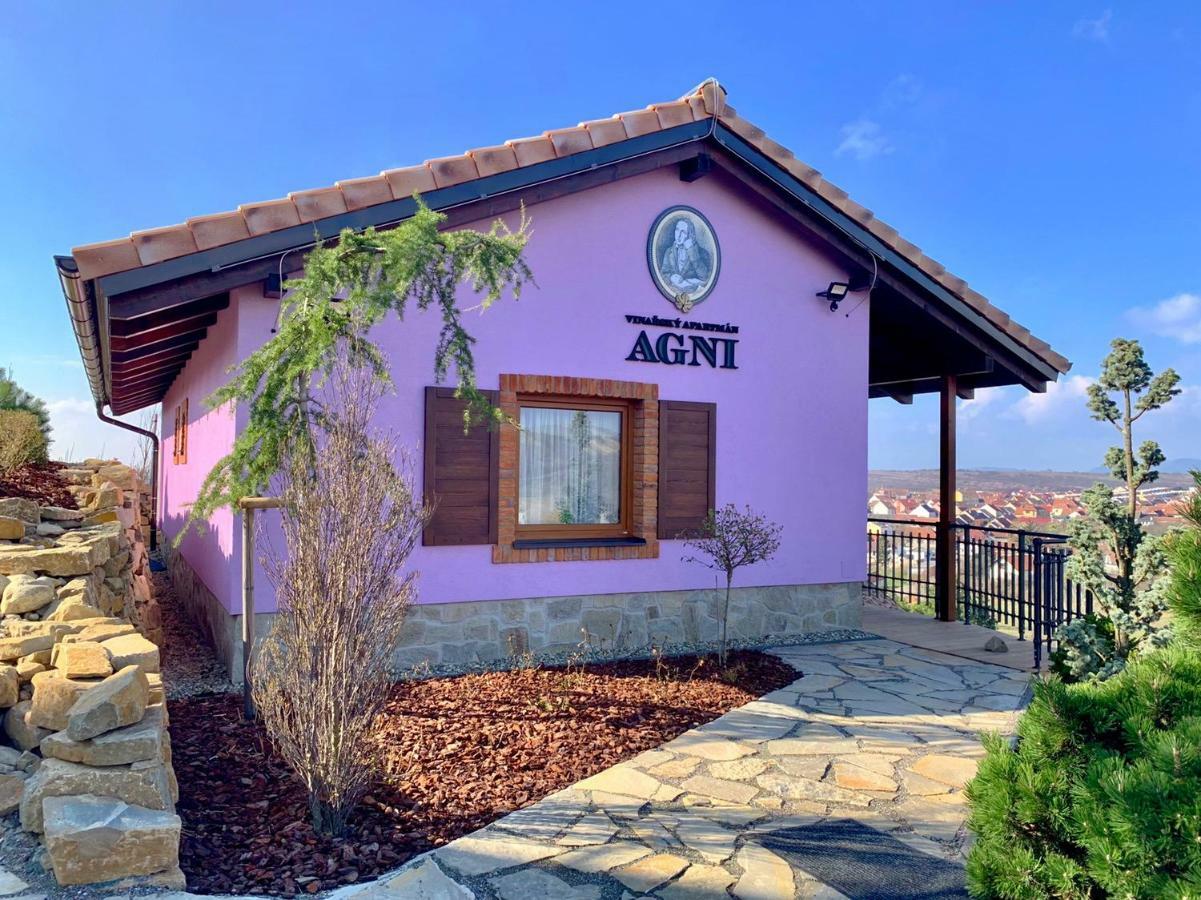 Vinařský pension André Velké Pavlovice Esterno foto